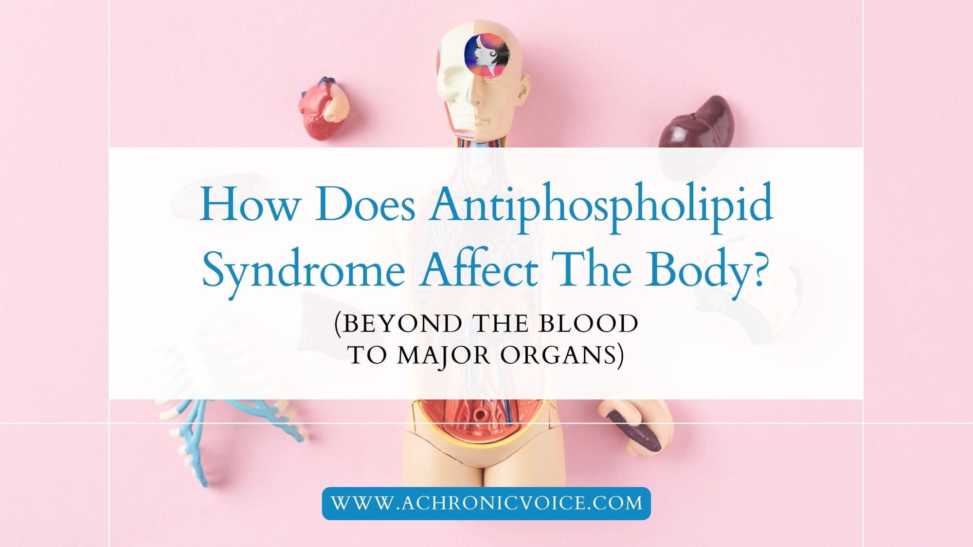 How Does Antiphospholipid Syndrome Affect The Body? (Beyond the Blood to Major Organs)
